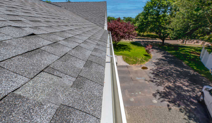 Expert Gutter Cleaning in Rockwall & Forney