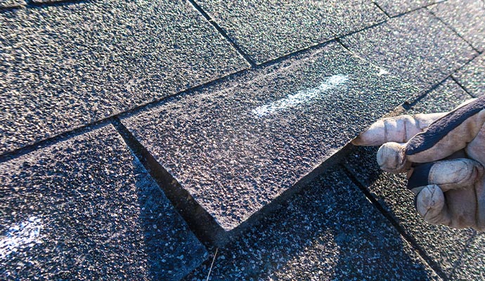 A Professional inspecting a roof