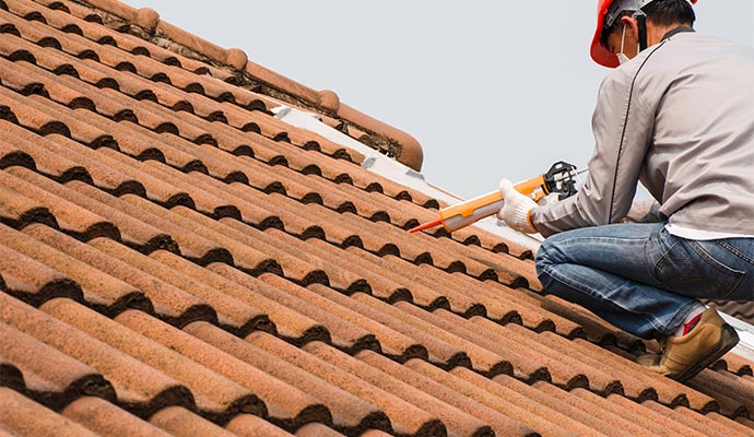 Professional repairing a roof