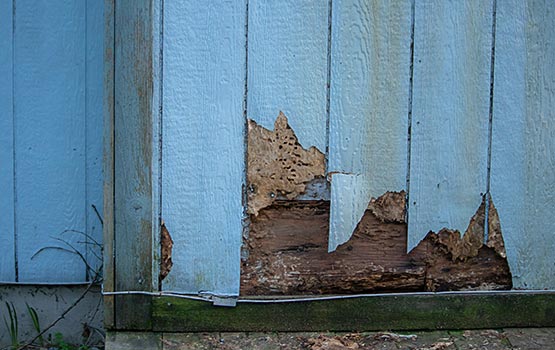 the Causes of Rotting Siding Boards