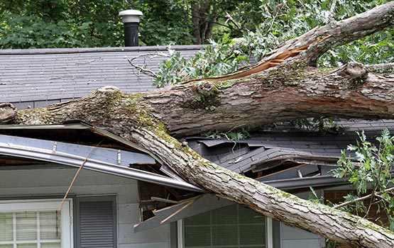 Storm Damaged Roof Repair in Forney & Rockwall