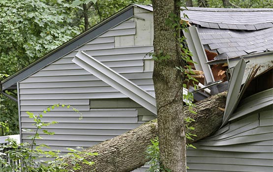 storm damaged property