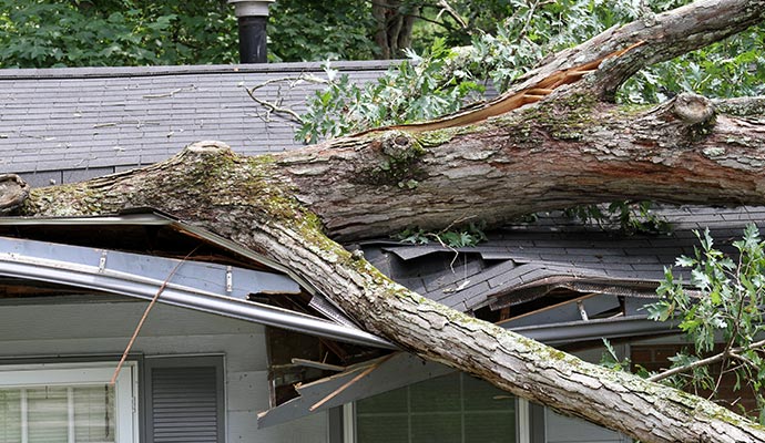 Type of Storm Damage in Forney, Plano & Rockwall