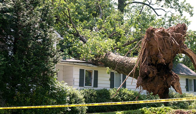 Wind Storm Damage Restoration in Forney & Rockwall, TX